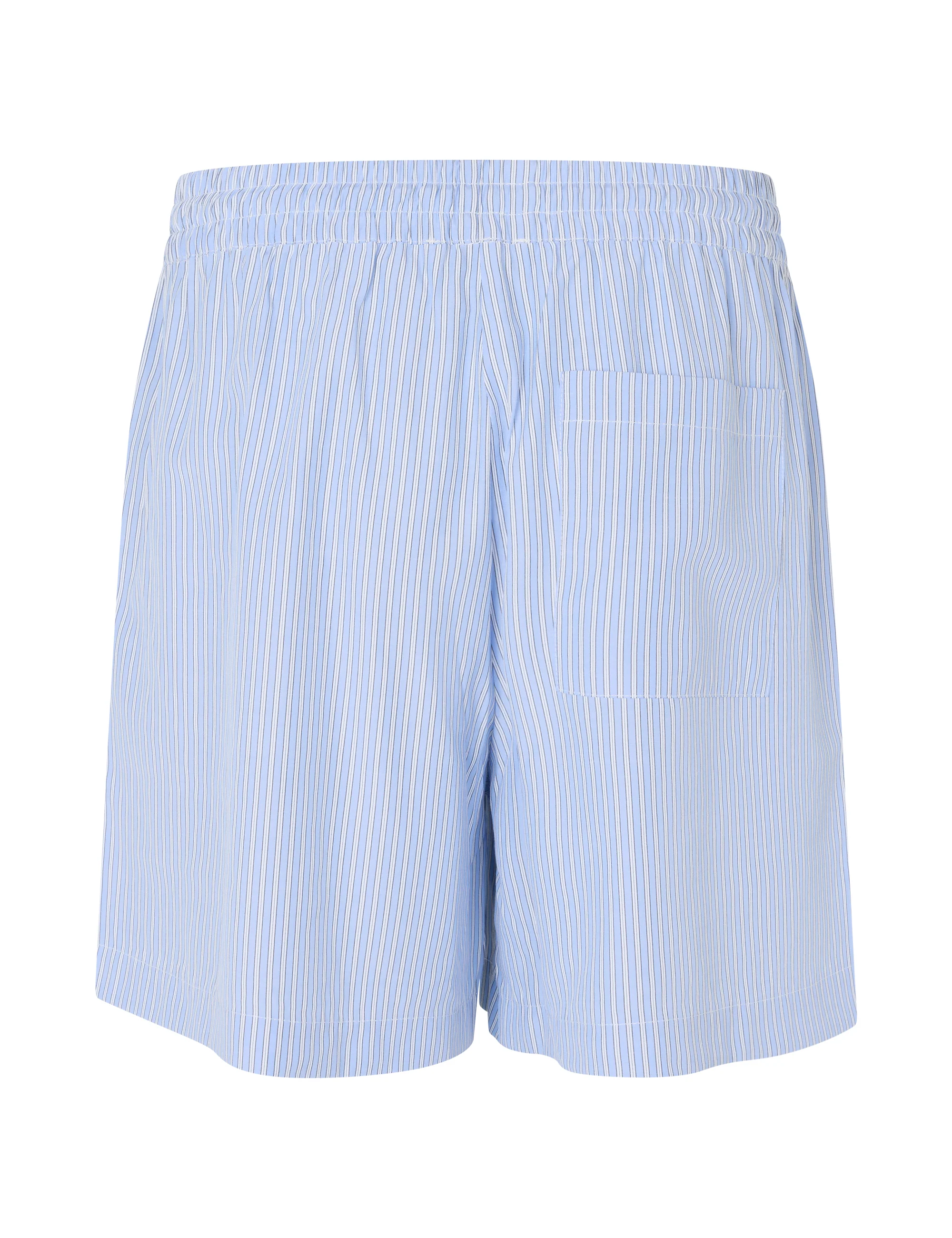 Calyn-M Shorts - Blue Zinnia Stripe - Image 4